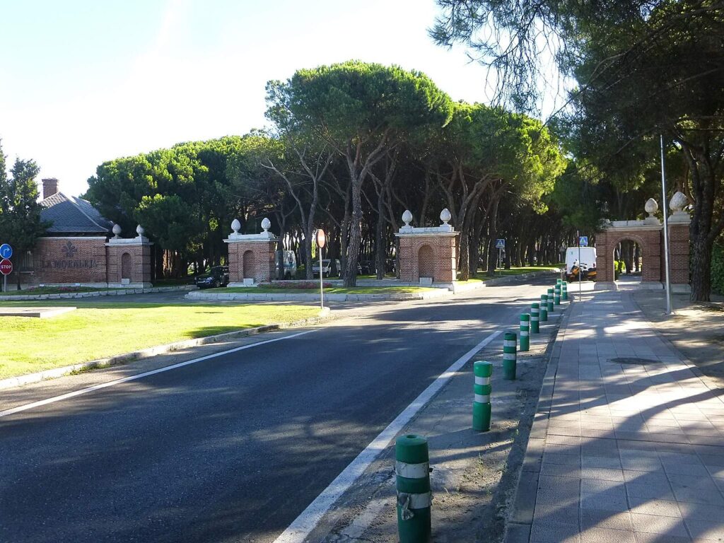 Chalés entre encinas en la urbanización de La Moraleja