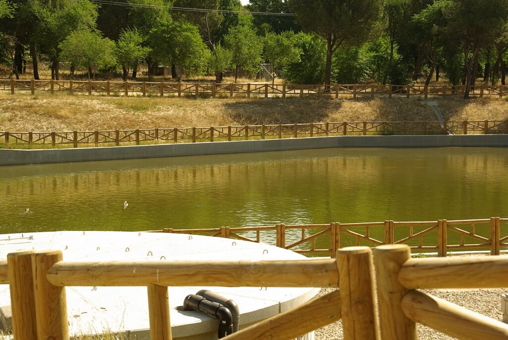 El estanque del parque de Las Presillas