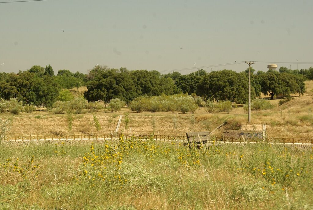 Panorámica del parque de Las Presillas, el gran espacio natural de Alcorcón
