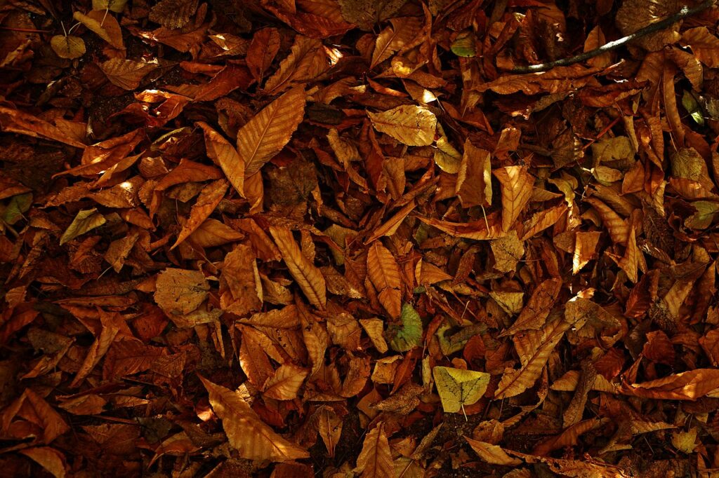 El jardín de la Isla en otoño