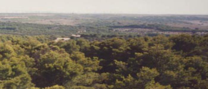 La Dehesa del Carrascal, último encinar manchego del Parque del Sureste