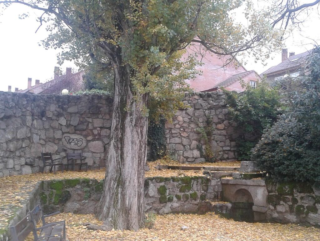 La fuente del Caño Viejo