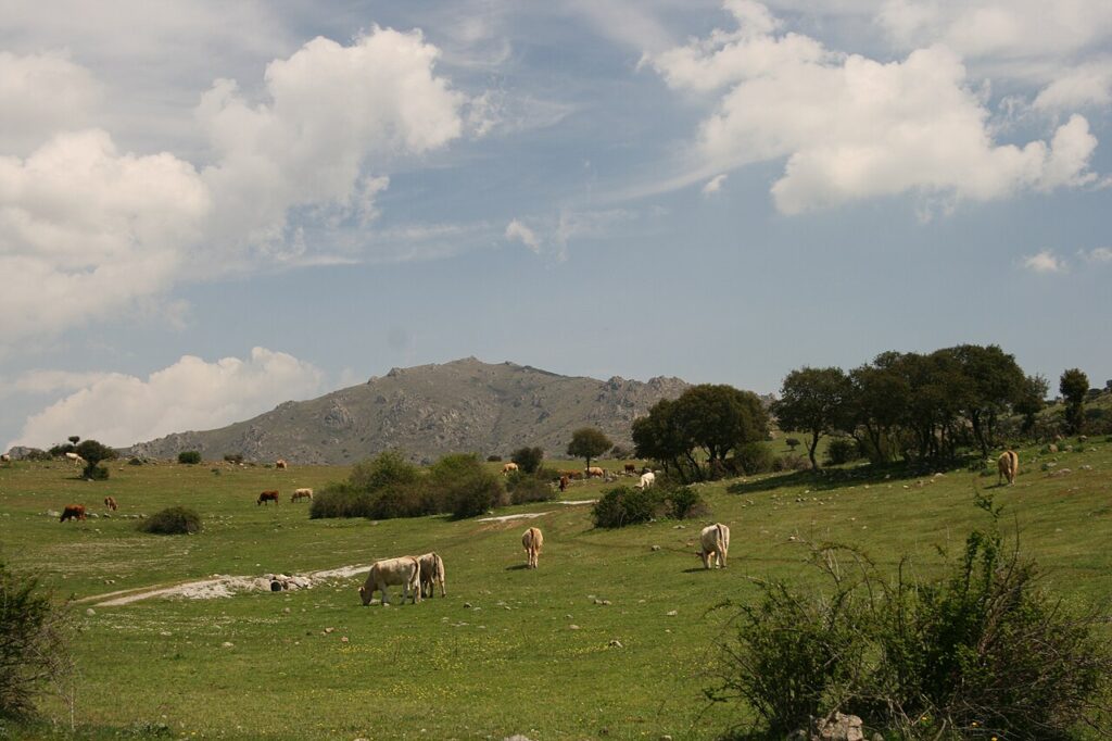 El cerro de San Pedro visto desde Navalvillar