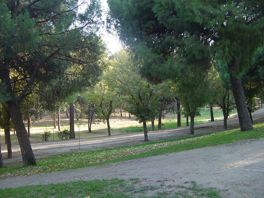 En bici por el Parque Forestal de Entrevías, parte del Anillo Ciclista