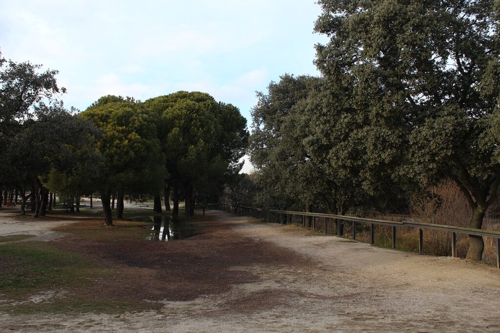 La Dehesa de Navalcarbón, el gran parque de Las Rozas