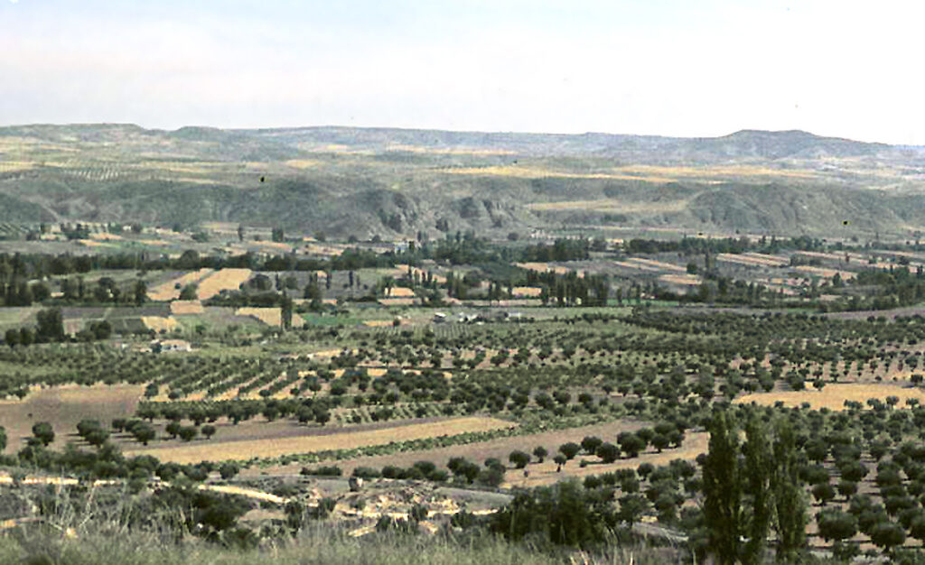 El valle del Tajuña en 1974