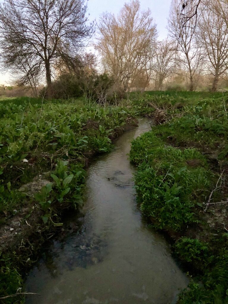 El arroyo de Antequina