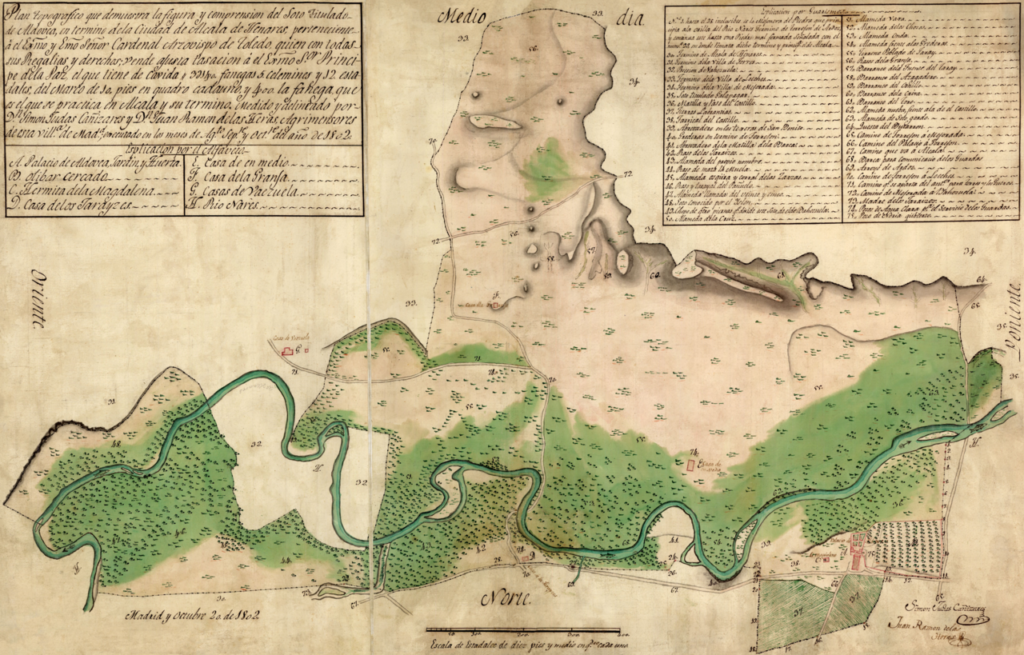 Plano del soto de Aldovea de 1802