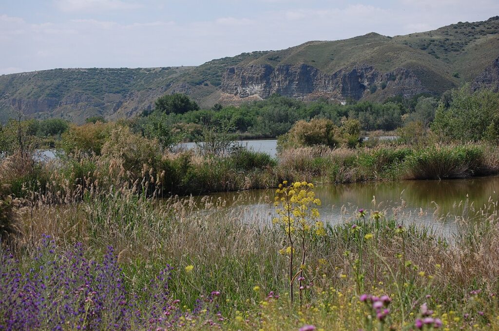 Vista de las lagunas de Velilla
