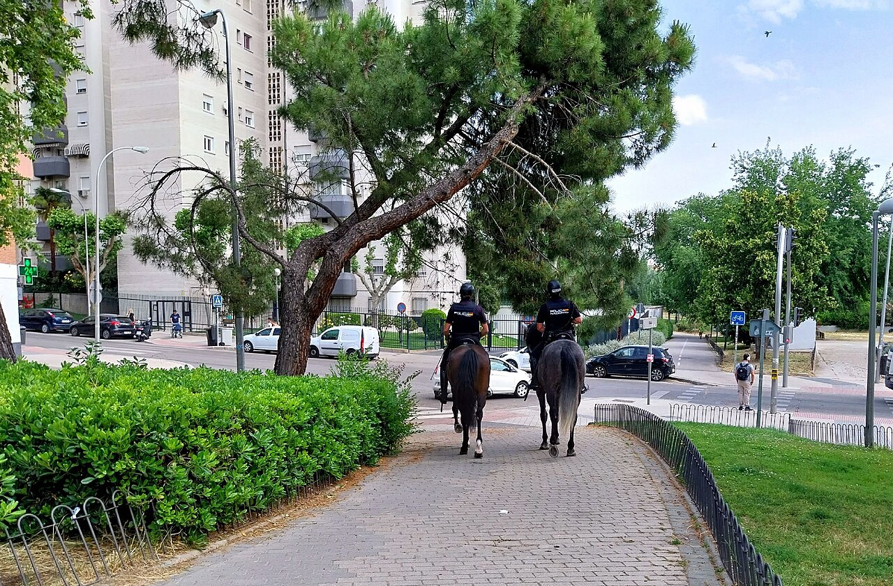 El parque de Aluche