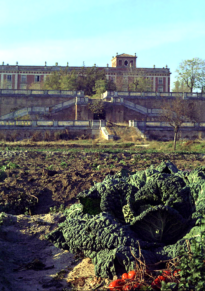Boadilla del Monte en 1973