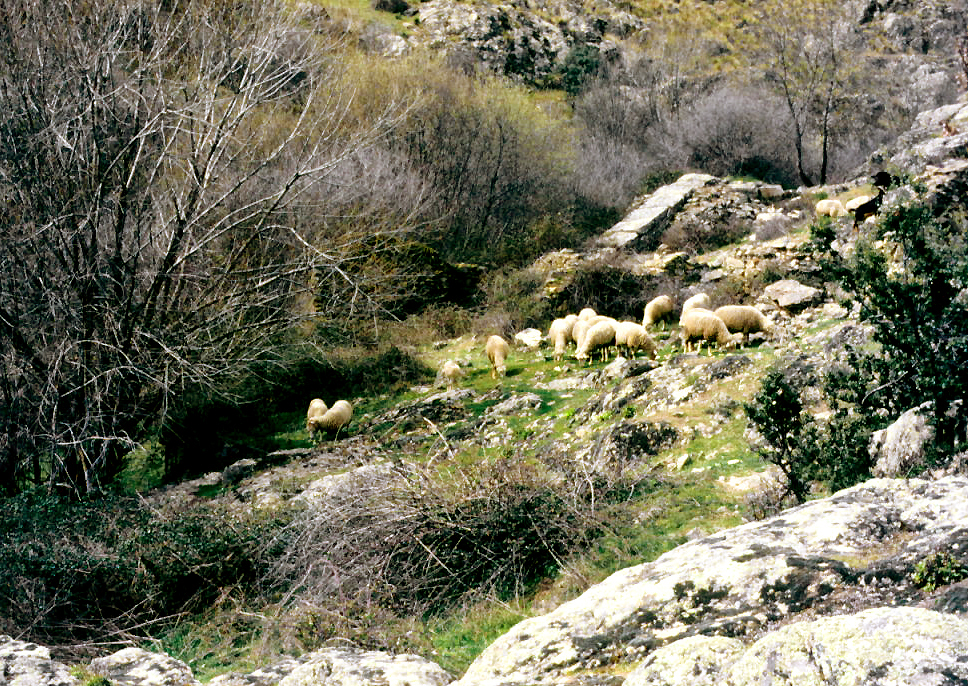 Braojos de la Sierra en 1988