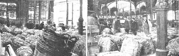 Seras y banastas en la plaza de la Cebada, 1903