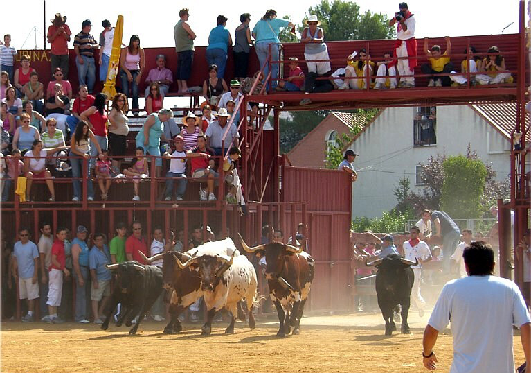Imagen de Loeches