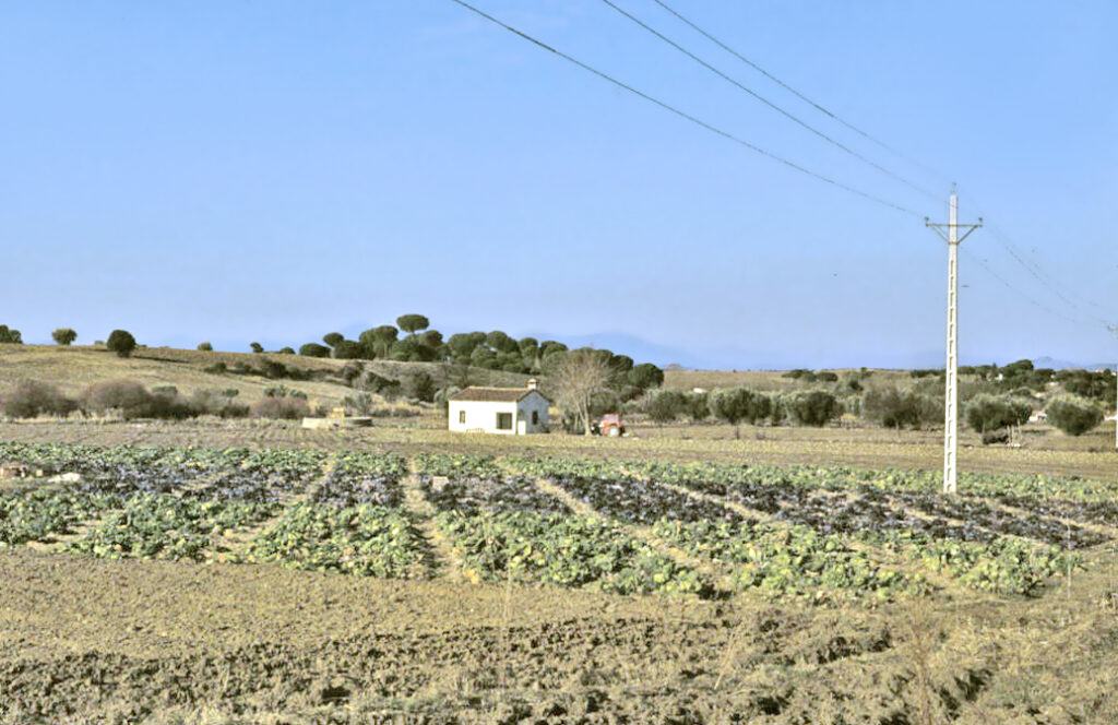 Navalcarnero en 1975