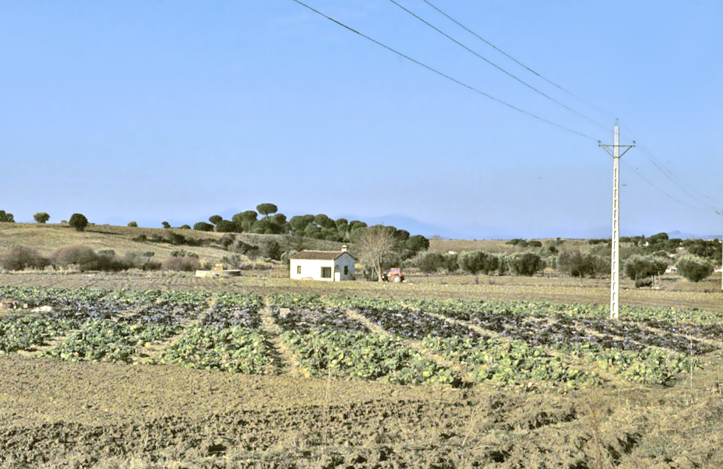 Navalcarnero en 1975