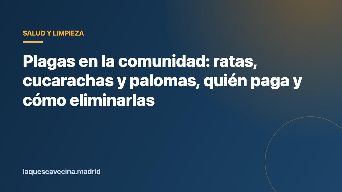 Plagas en la comunidad: ratas, cucarachas y palomas, quién paga y cómo eliminarlas