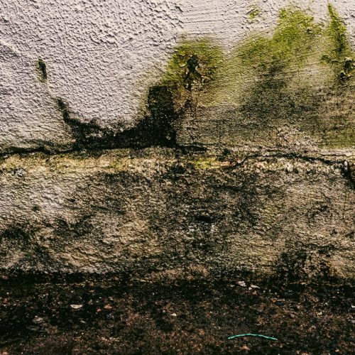 5 señales de que tu casa está siendo poseída por la humedad (y cómo solucionarlo)