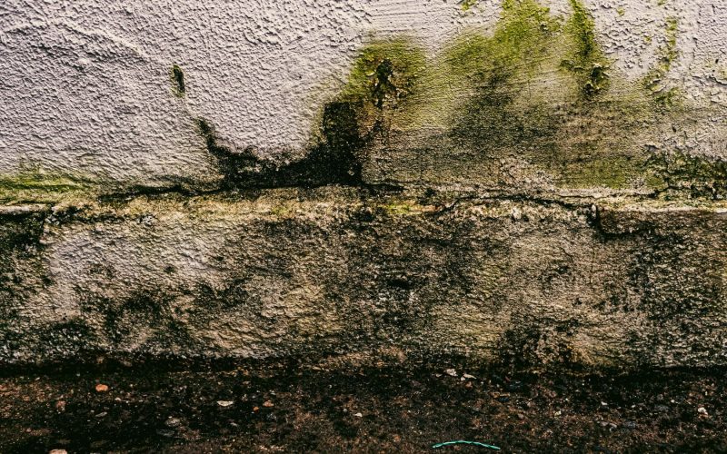 5 señales de que tu casa está siendo poseída por la humedad (y cómo solucionarlo)