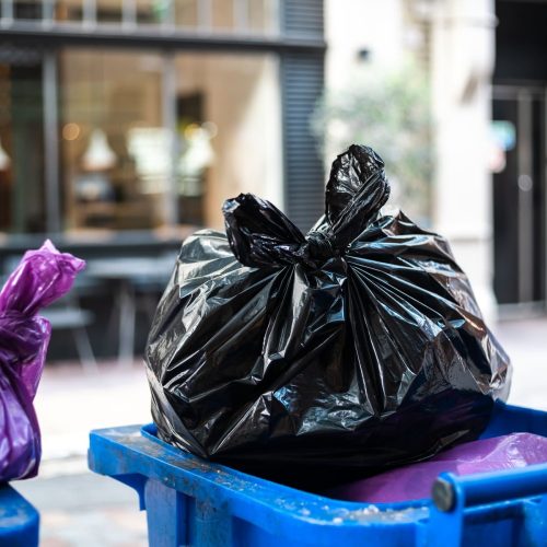 Sacar la basura? No, gracias, tengo mejor cosas que hacer